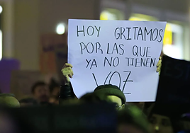 La violencia contra la mujer en Salamanca: los datos de un negro 25N