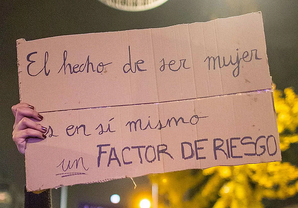 Manifestación 25N por la erradicación de la violencia de género