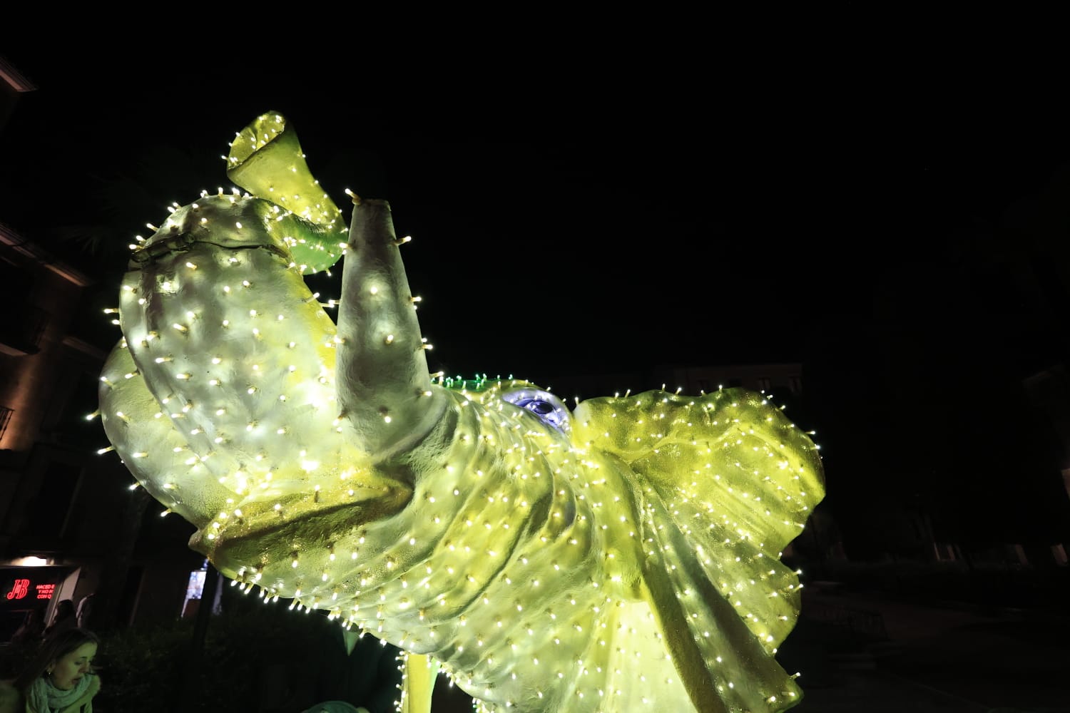 La Navidad ya deslumbra en Salamanca con luces, árbol y videomapping