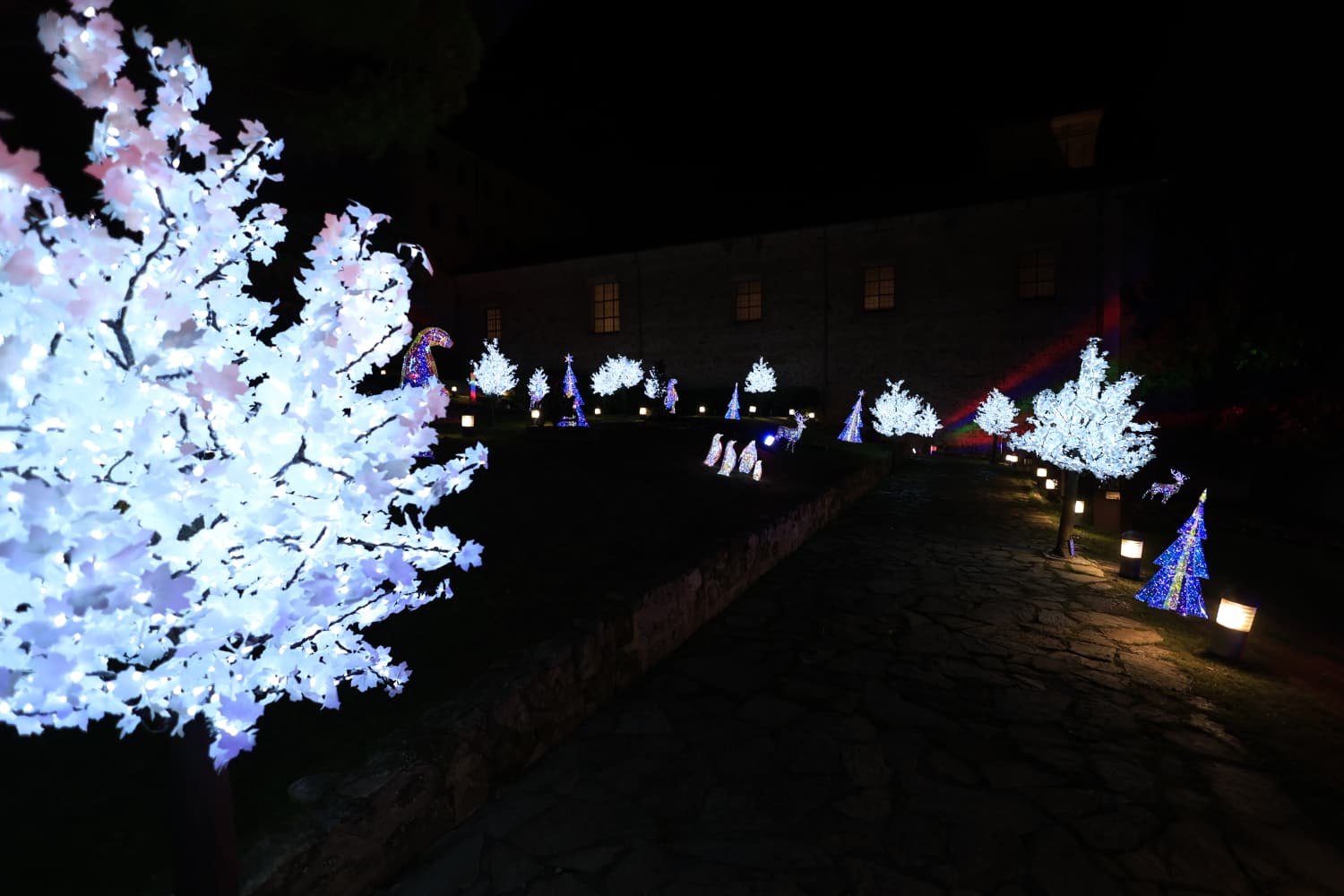 La Navidad ya deslumbra en Salamanca con luces, árbol y videomapping