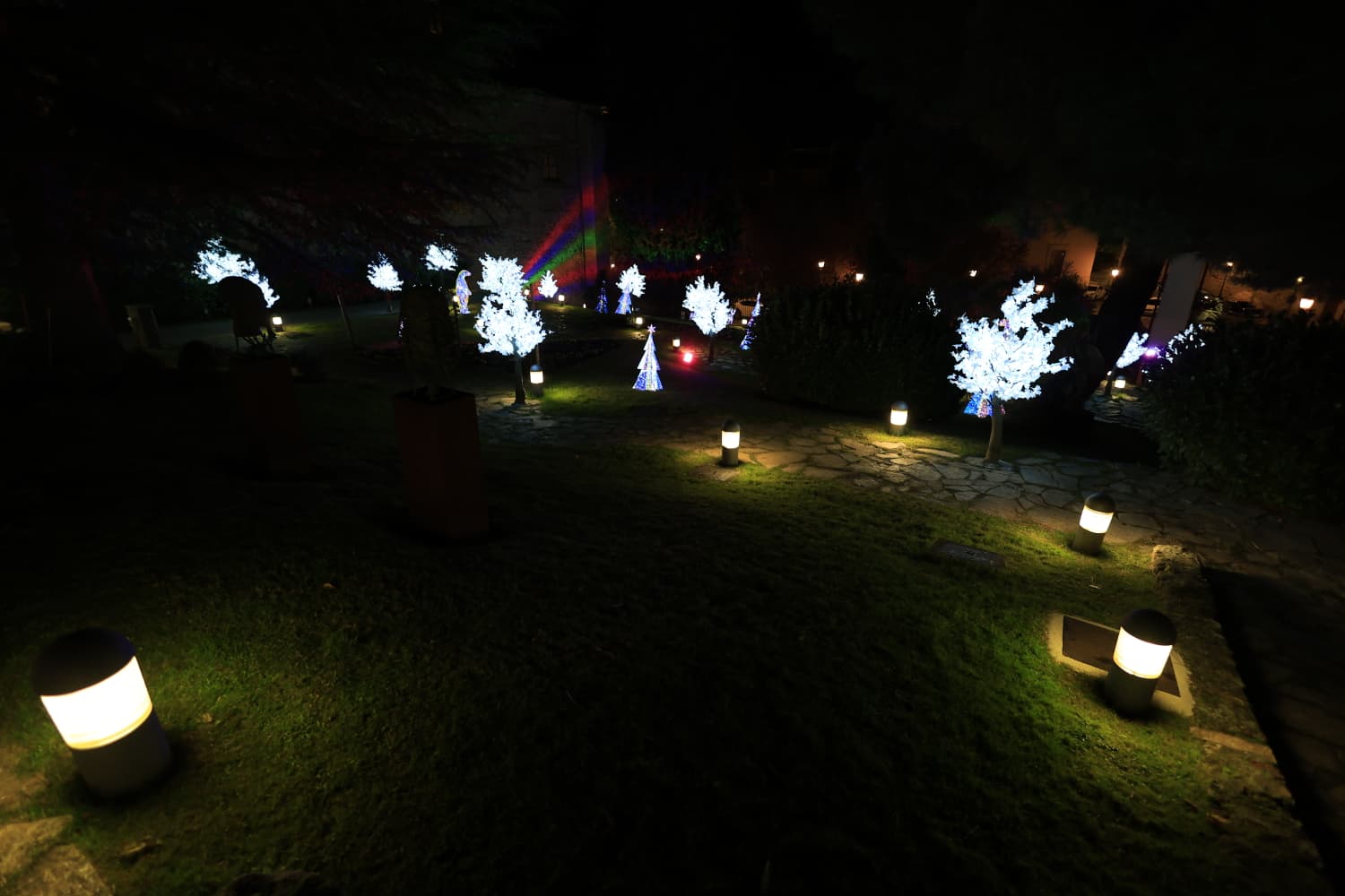 La Navidad ya deslumbra en Salamanca con luces, árbol y videomapping