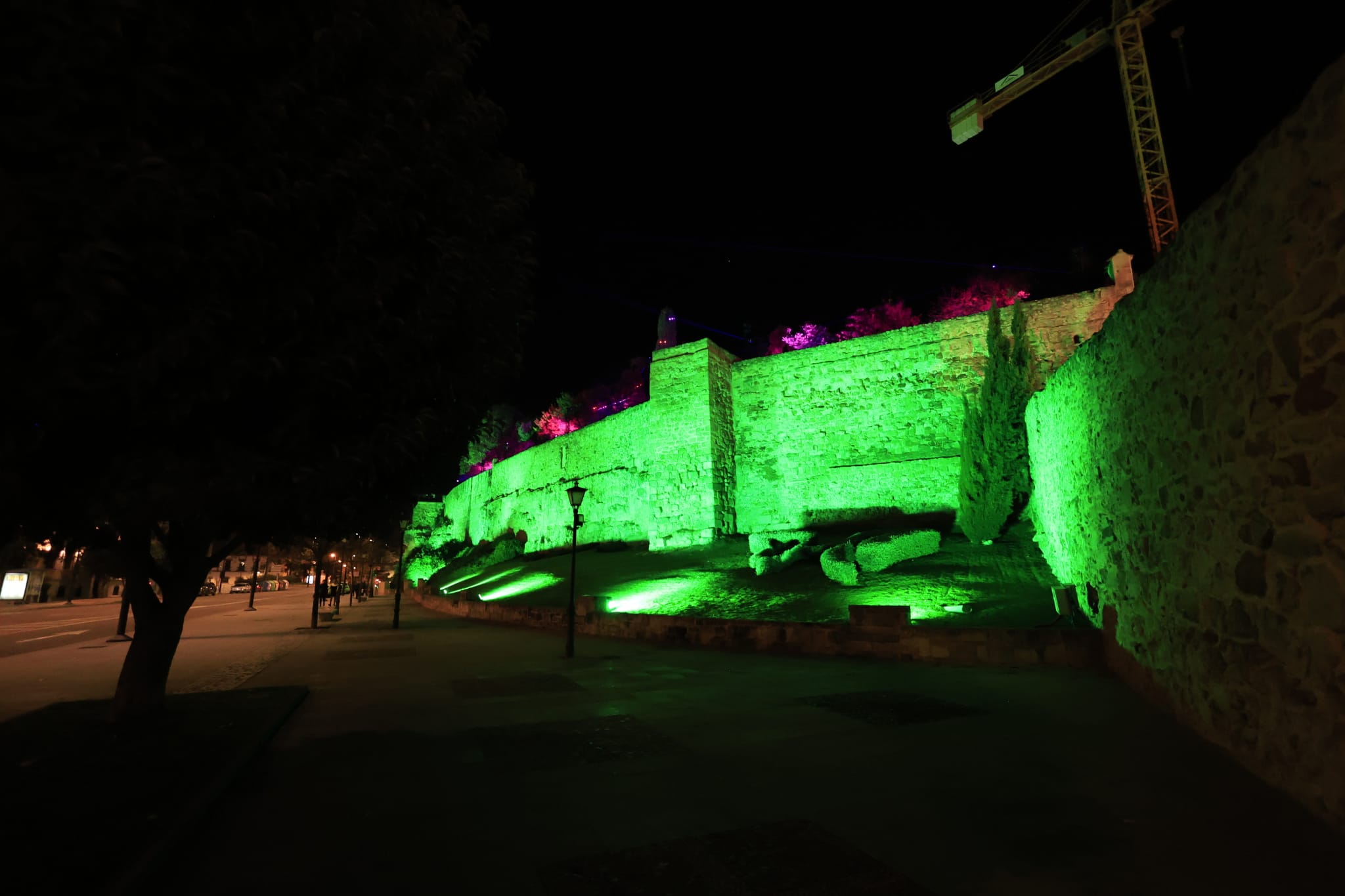 La Navidad ya deslumbra en Salamanca con luces, árbol y videomapping