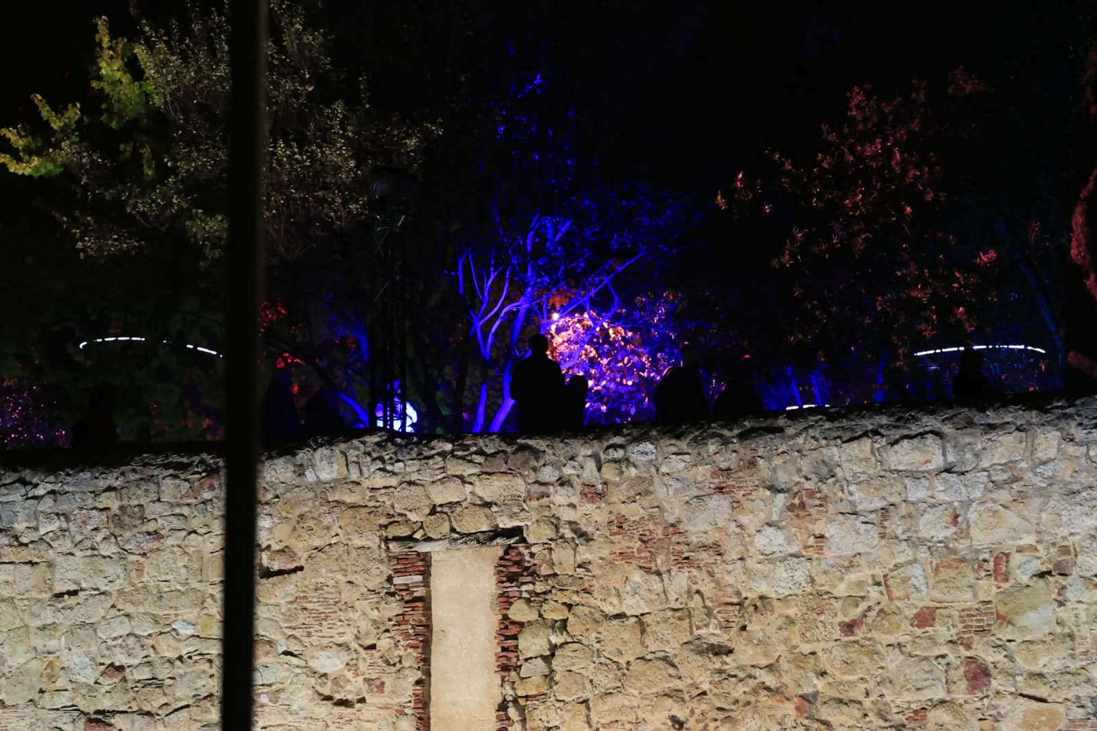 La Navidad ya deslumbra en Salamanca con luces, árbol y videomapping