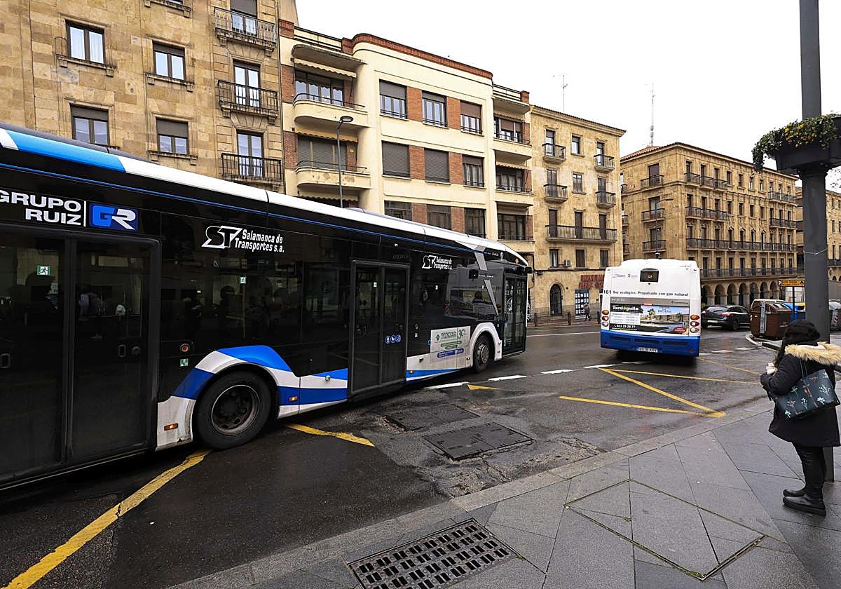 Autobuses urbanos de Salamanca.