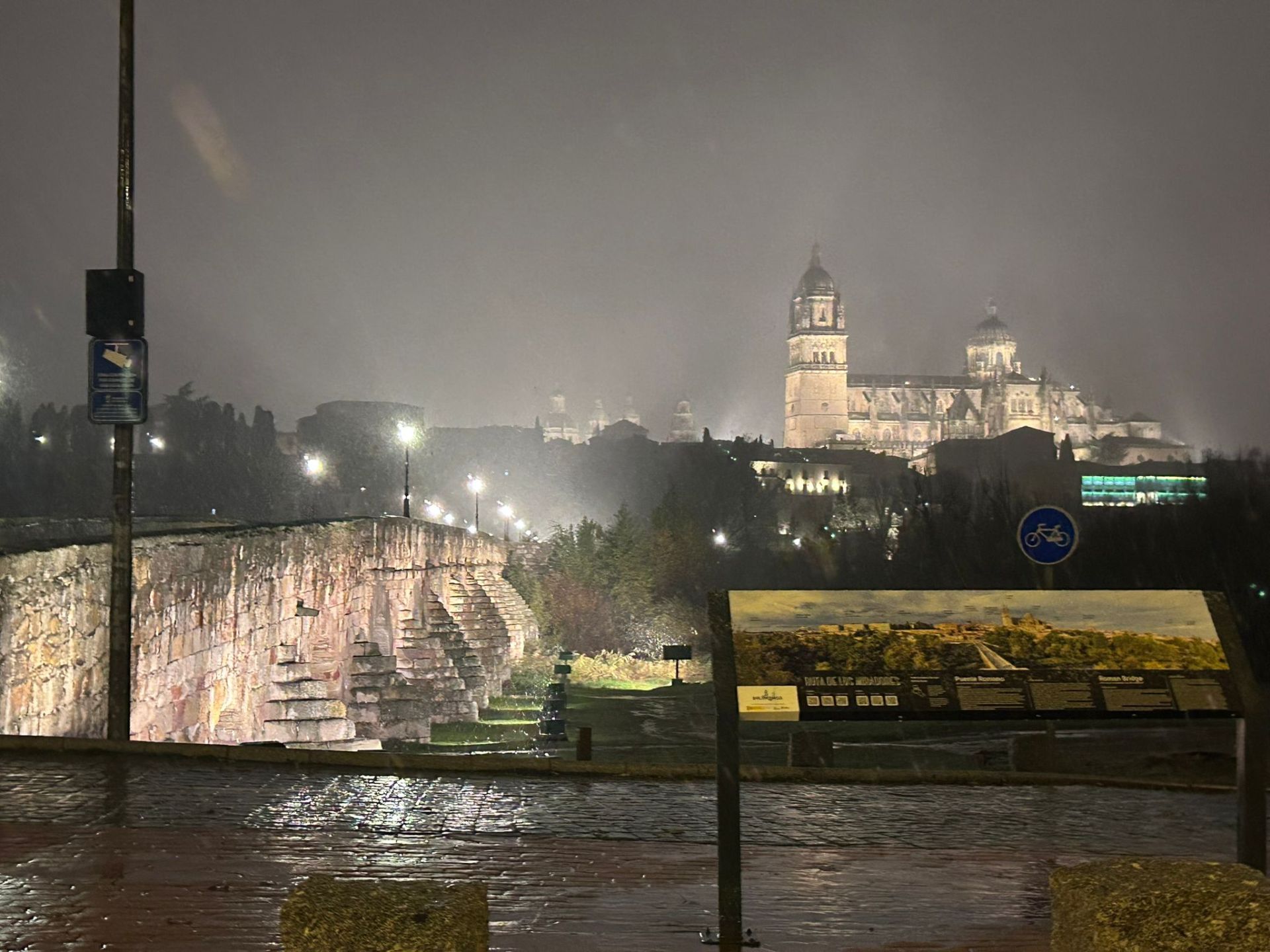 Una fuerte nevada en Salamanca sorprende a la capital y la cubre con gruesos copos