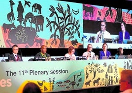 Abschlusskonferenz des Weltbiodiversitätsrates am 18. Dezember in Windhuk.