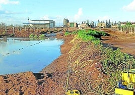 Der Geruch von großen Gülleteichen und Abfällen aus Biogasanlagen ruft Widerstand hervor.