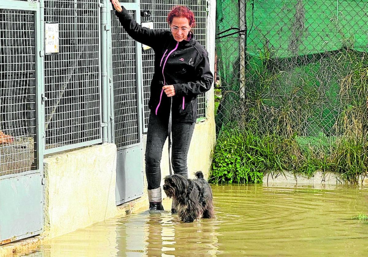 Eine Helferin holt eines der Tiere aus der überfluteten Einrichtung.