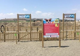 Der Hundestrand von Torre del Mar.