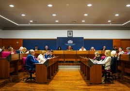 Die Plenarsitung in Motril.