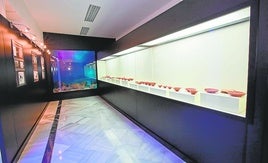 Das archäologische Museum von Estepona.