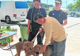 Bettina Pietsch empfängt Hunde nach dem Spaziergang mit Freiwilligen.