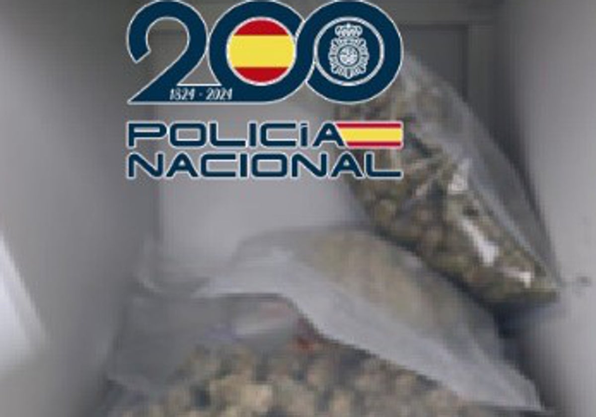 Polizei hebt Cannabisclub an der Costa del Sol aus, der als Drogenumschlagplatz diente