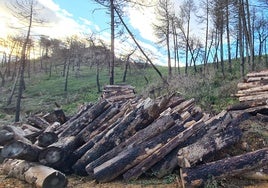 Mijas bereitet Abkommen vor, um seine Bergkette vor Bränden zu schützen