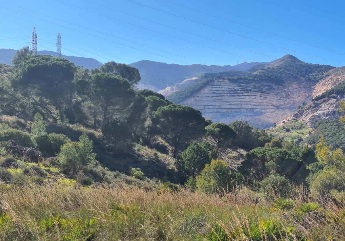Mijas startet eine Sensibilisierungskampagne zum Thema Waldbrände