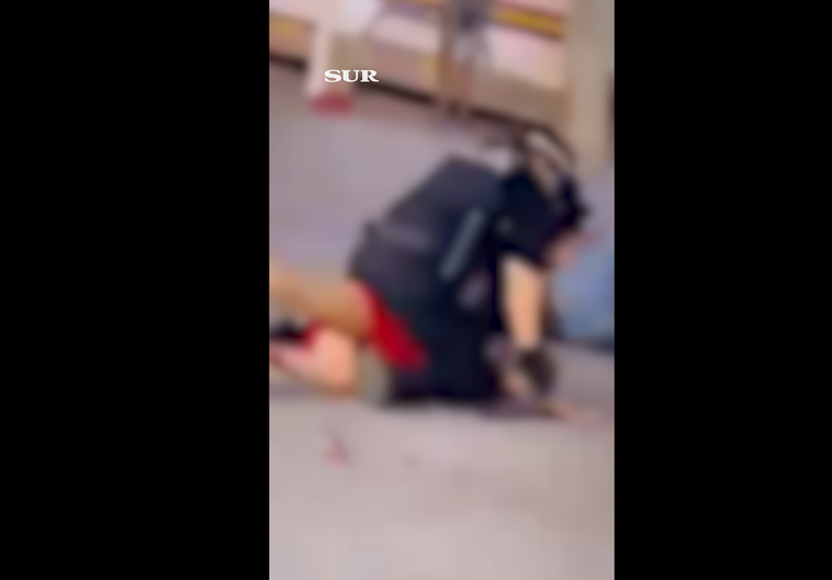 Die Schlägerei war spektakulär - auch die Polizisten schlugen kräftig zu.