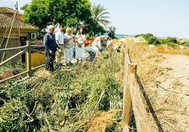 Intensive Naturschutzarbeit im ökologischen Reservat Dunas de Marbella.