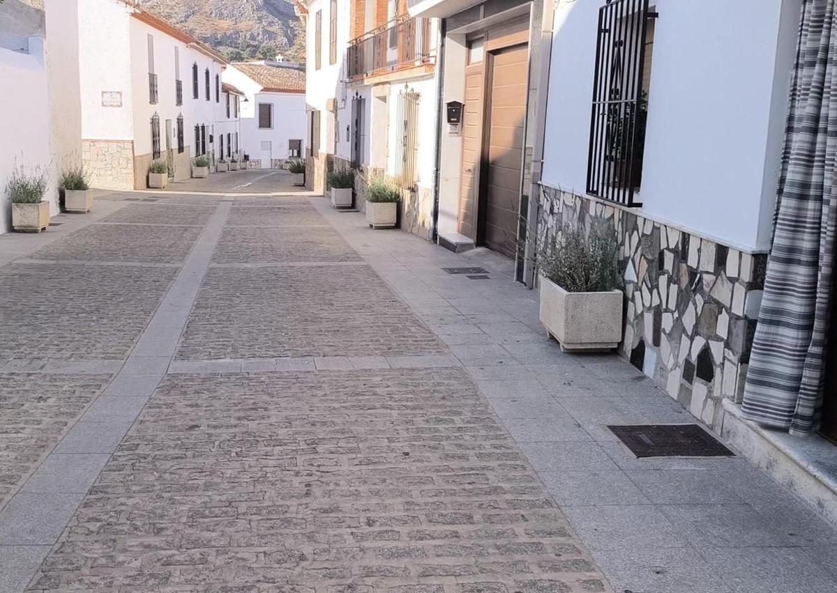 Imagen secundaria 1 - Lavendel-Anbau in Alfarnatejo im Hinterland der Provinz Málaga soll der Entvölkerung entgegenwirken und Touristen anlocken
