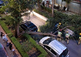 Der Baum fiel vor das Fahrzeug der Familie.