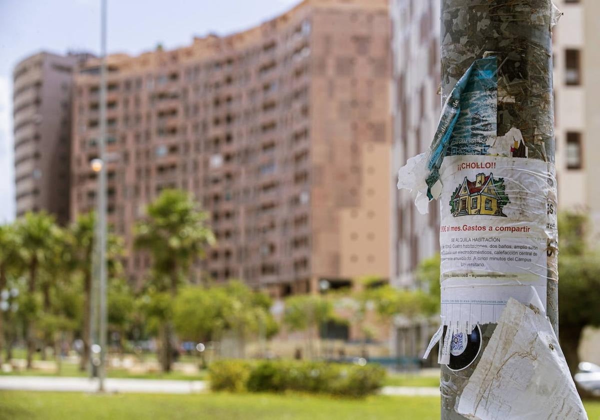 Es ist fast unmöglich geworden, in Málaga eine bezahlbare Wohnung zu finden. Das sagt selbst die zuständige Ministerin.