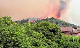Großeinsatz gegen Waldbrand westlich von Madrid
