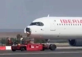 Der vordere Teil des Flugzeugs wurde durch den Aufprall auf das Tier beschädigt.