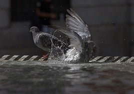 Temperaturen bleiben unverändert hoch - vereinzelte Gewitter nicht ausgeschlossen
