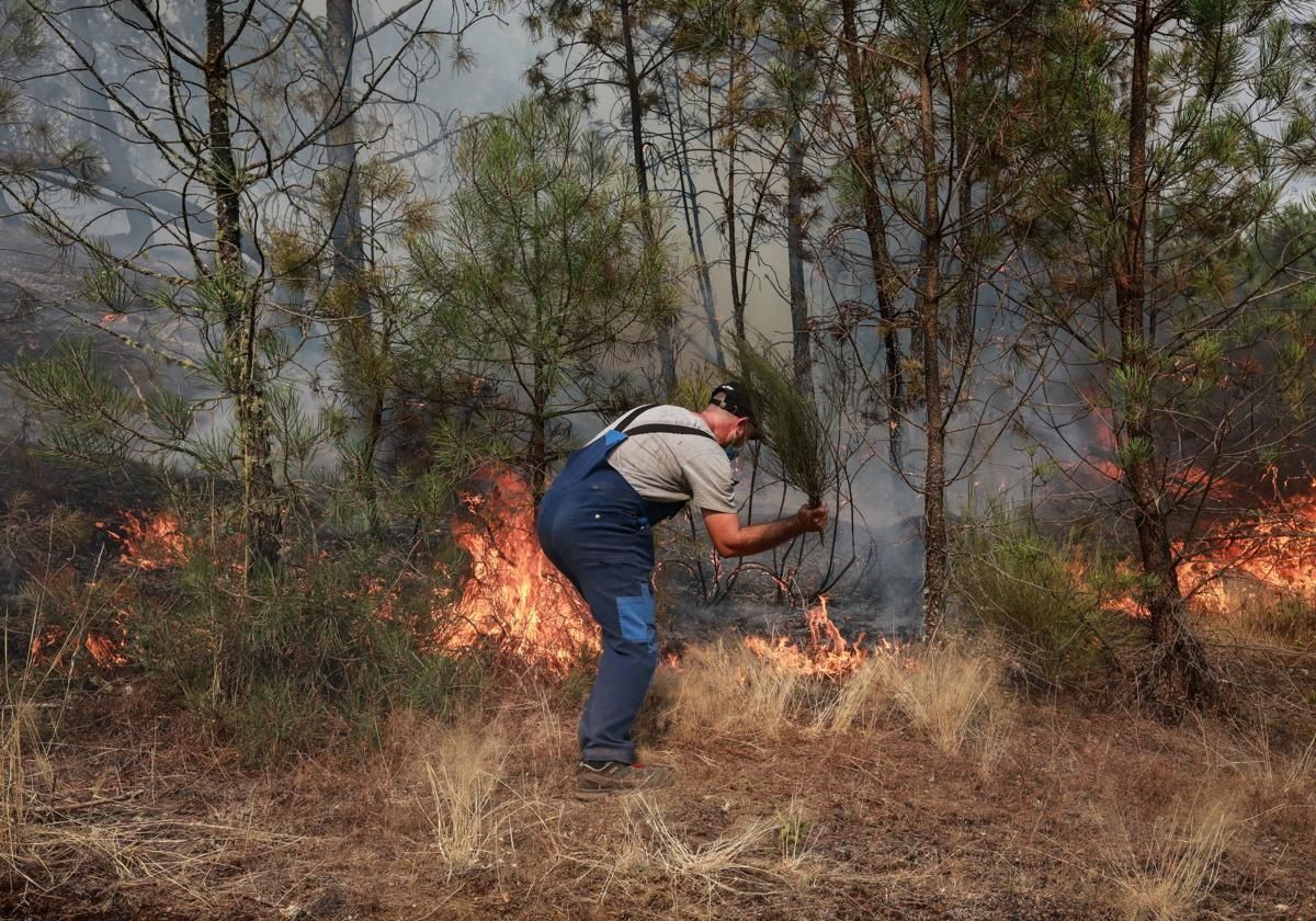 Fünfundzwanzig Personen in diesem Sommer in Spanien wegen Brandstiftung verhaftet