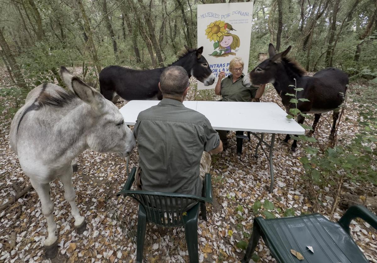 Mitarbeiterin von 'Mujeres por Doñana', Luis Manuel Bejarano (v. h.) und drei der 'Burros Bomberos'.