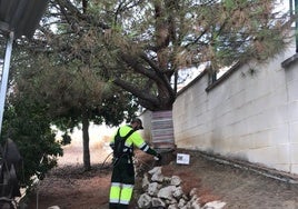 Die Endotherapie-Behandlung an einer Kiefer.