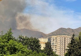 Feuer auf dem Berg Monte Coronado in Málaga mittlerweile unter Kontrolle