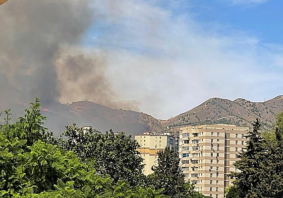 Feuer auf dem Berg Monte Coronado in Málaga mittlerweile unter Kontrolle