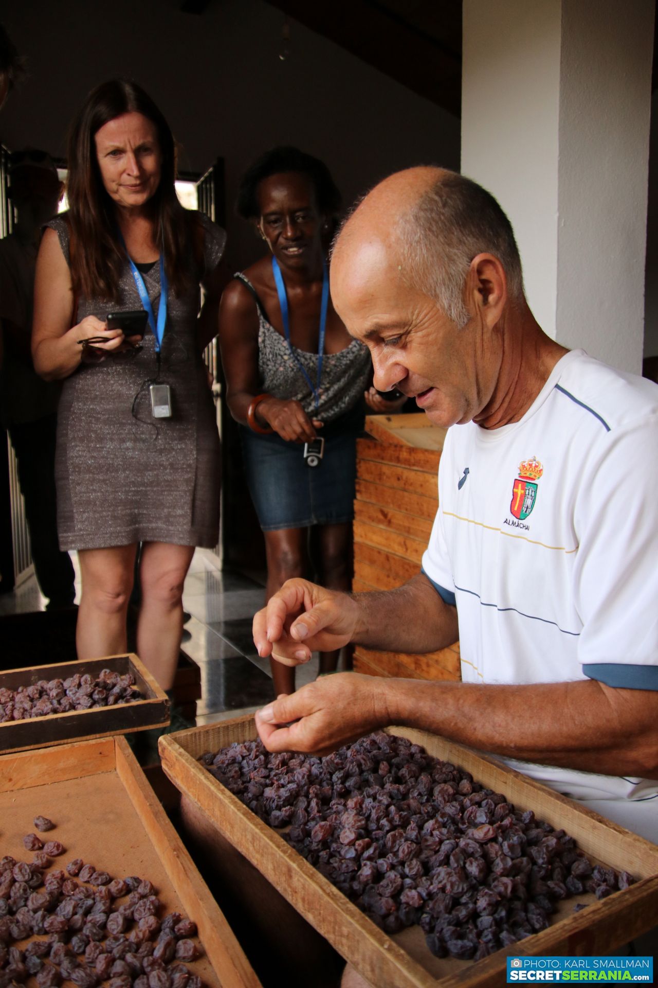 Imagen secundaria 2 - Rosinenlese auf der Finca von Paco Ríos Lozano.
