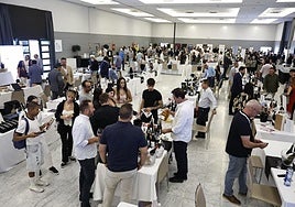 Die besten Fotos von SUR Wines & Gourmet 2025
