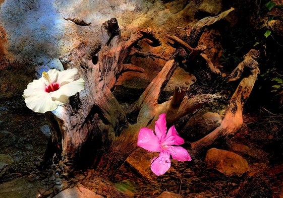 Bildausschnitt aus dem Werk 'Vergänglichkeit'.