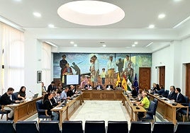 Plenarsitzung im Rathaus von Rincón de la Victoria.