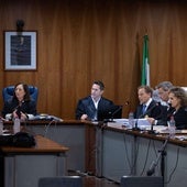 Schöffengericht erlässt Schuldspruch für den Stiefsohn einer in einem Abwasserschacht in Málaga gefundenen Frau