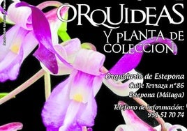 Das Orquidario Estepona veranstaltet Orchideenmesse