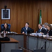 Verurteilt zu 27 Jahren Gefängnis für den Mord an seiner Mutter in Málaga