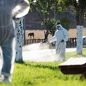 Folgende 11 Gemeinden in Andalusien sind jetzt wegen des West-Nil-Virus in Alarmbereitschaft