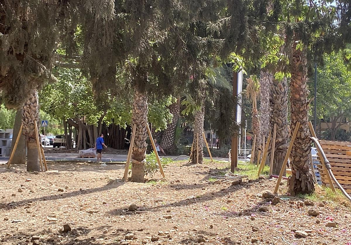 Palmen in Arroyo de la Miel.