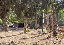 Palmen in Arroyo de la Miel.