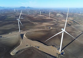 Ein großer Windpark in voller Produktion.