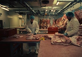 Szene aus dem Film «Frisch».