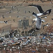 Archivfoto der Mülldeponie von Los Ruices bei Málaga.