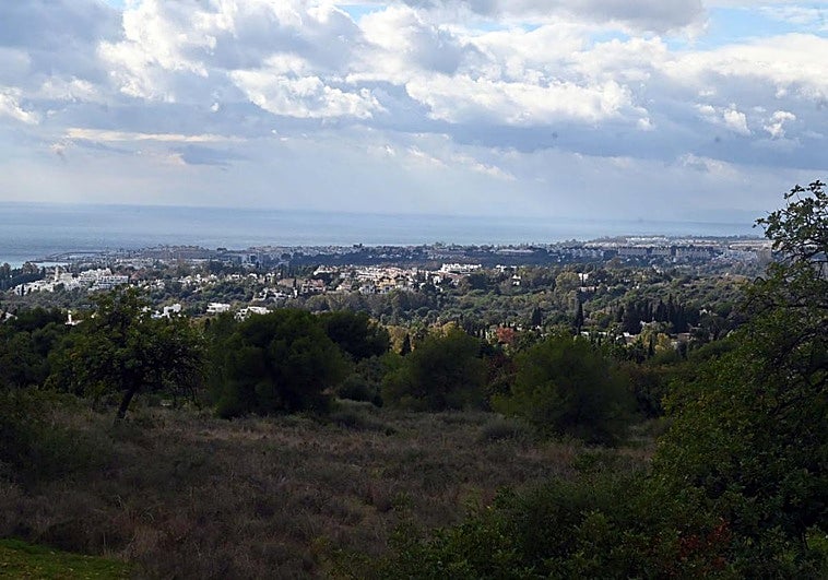 Марбелья запускает проекты по развитию жилых районов и инфраструктуры