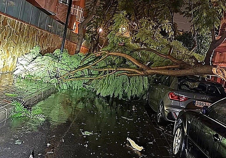 Sturm hat in der Nacht zum Dienstag rund dreißig Zwischenfälle in der Provinz Málaga verursacht