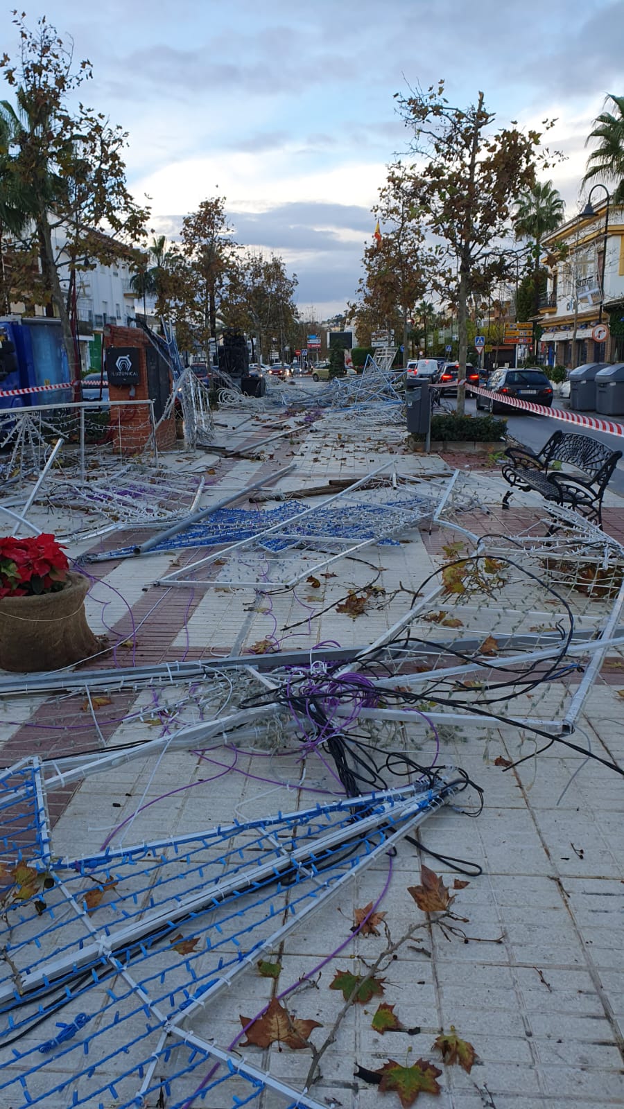 Wind damage in Mijas, where trees have fallen as well as some of the Christmas lights