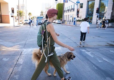 Patientin mit einem Optune-Gerät von Novocure.