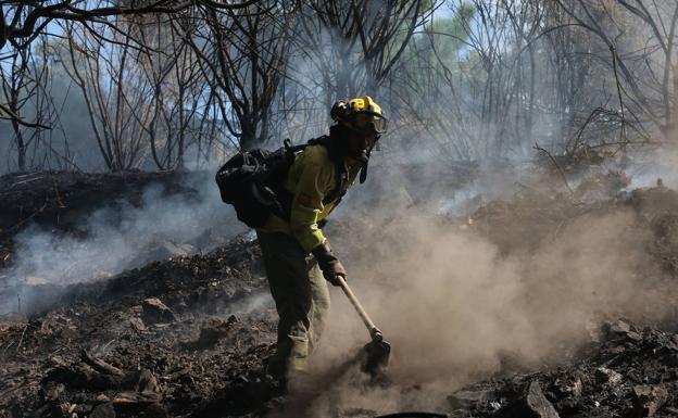 Sierra Bermeja forest fire is finally out after burning for more than six weeks